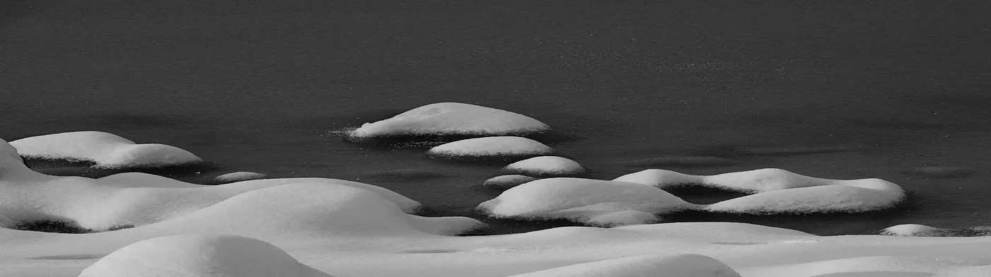 법무법인 서앤율