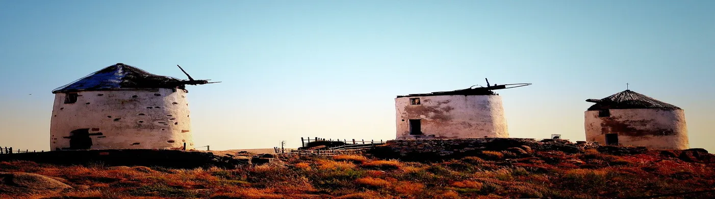 법무법인 서앤율