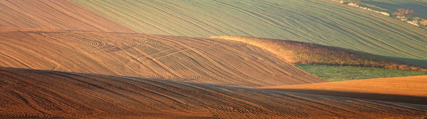 법무법인 서앤율