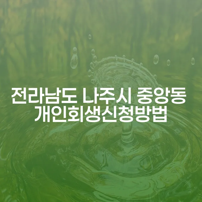 전라남도 나주시 중앙동 개인회생신청방법, 어떻게 시작해야 할까요?